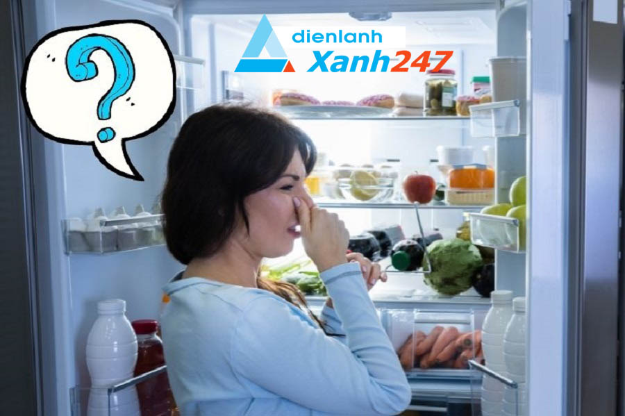 Sửa Tủ Lạnh Tại Nhà Thoại Sơn – Dịch vụ giá rẻ, chuyên nghiệp tại Điện Lạnh Xanh 247 Tủ lạnh bị chảy nước, đọng sương, có mùi hôi